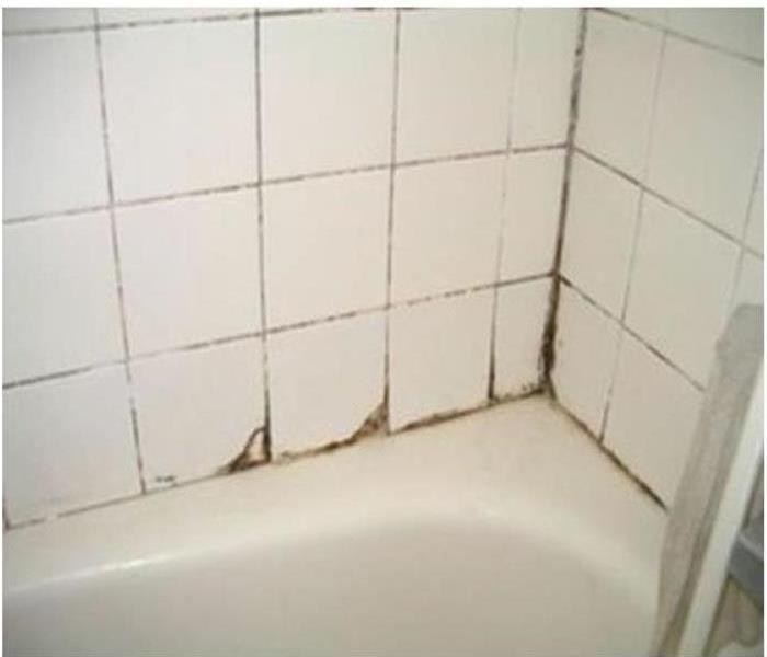 Leaking Shower Tub Surround