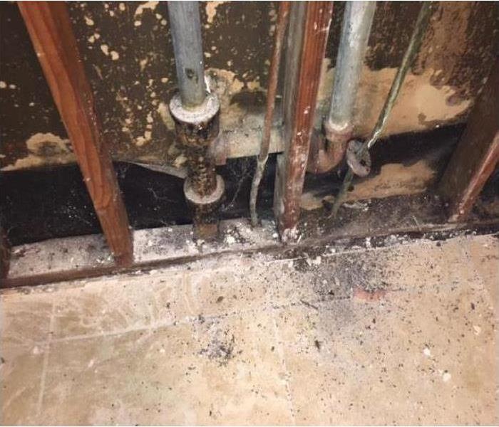 Drywall removed from bathroom found water leaking on pipe causing damage to bathroom