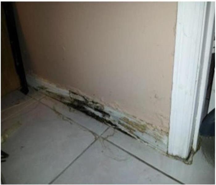 Water damaged baseboard wall and caused secondary damage