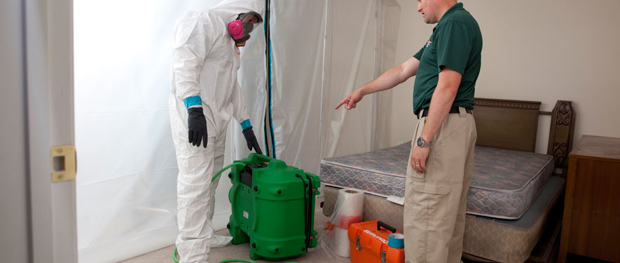 Austin, TX mold removal process